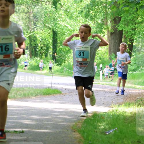 17.05.2025 - Störlauf Strokosch-Dieckow http://msf.ph/oto/7846469 17.05.2025 13:38:47 Laufen 137, 216, 81, 152 meine-sportfotos.de
