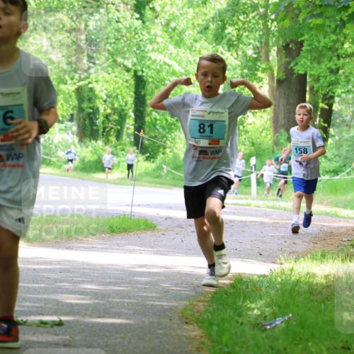 17.05.2025 - Störlauf Strokosch-Dieckow http://msf.ph/oto/7846472 17.05.2025 13:38:47 Laufen 13, 216, 81, 158 meine-sportfotos.de