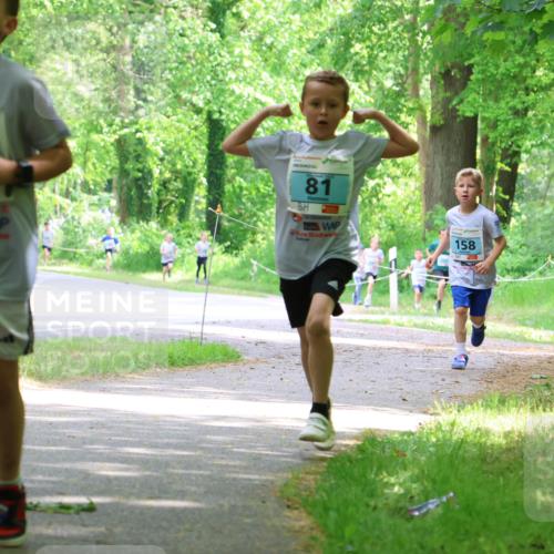 17.05.2025 - Störlauf Strokosch-Dieckow http://msf.ph/oto/7846477 17.05.2025 13:38:47 Laufen 21, 81, 158 meine-sportfotos.de