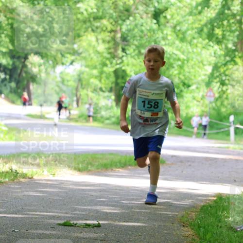17.05.2025 - Störlauf Strokosch-Dieckow http://msf.ph/oto/7846484 17.05.2025 13:38:51 Laufen 158 meine-sportfotos.de
