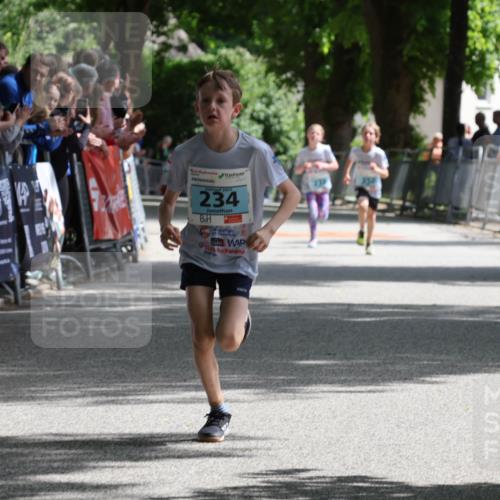 17.05.2025 - Störlauf Strokosch-Dieckow http://msf.ph/oto/7846489 17.05.2025 13:39:14 Ziel 40, 2079, 234 meine-sportfotos.de