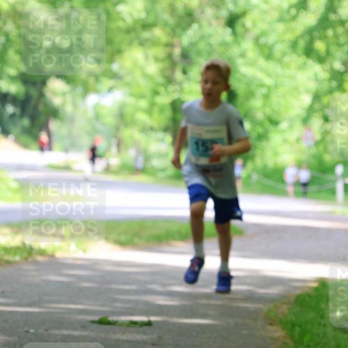 17.05.2025 - Störlauf Strokosch-Dieckow http://msf.ph/oto/7846492 17.05.2025 13:38:51 Laufen 155 meine-sportfotos.de