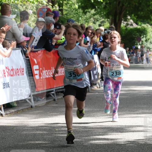 17.05.2025 - Störlauf Strokosch-Dieckow http://msf.ph/oto/7846503 17.05.2025 13:39:21 Ziel 350, 2025, 238 meine-sportfotos.de