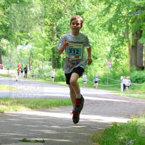 17.05.2025 - Störlauf Strokosch-Dieckow http://msf.ph/oto/7846504 17.05.2025 13:38:54 Laufen 2025, 312 meine-sportfotos.de