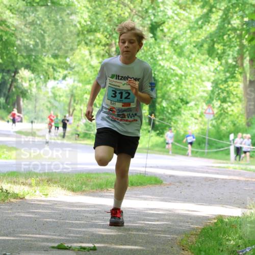 17.05.2025 - Störlauf Strokosch-Dieckow http://msf.ph/oto/7846521 17.05.2025 13:38:54 Laufen 2025, 312 meine-sportfotos.de