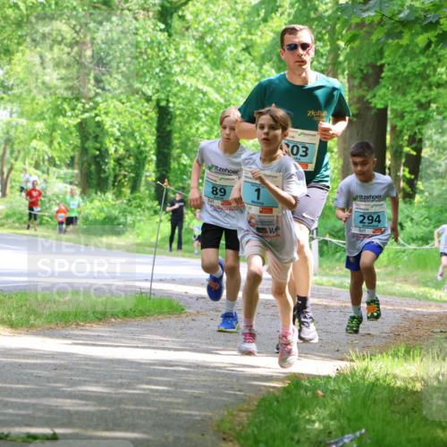 17.05.2025 - Störlauf Strokosch-Dieckow http://msf.ph/oto/7846561 17.05.2025 13:39:03 Laufen 89, 03, 294, 140 meine-sportfotos.de