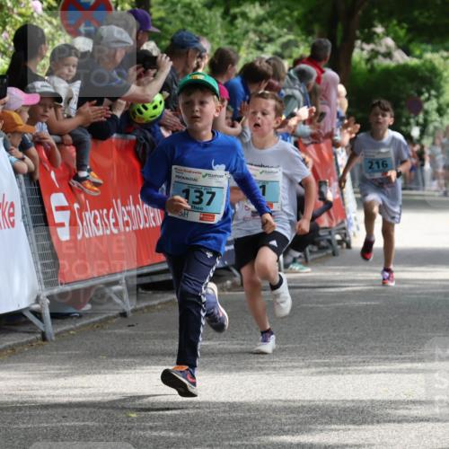 17.05.2025 - Störlauf Strokosch-Dieckow http://msf.ph/oto/7846562 17.05.2025 13:40:09 Ziel 2025, 137, 216 meine-sportfotos.de