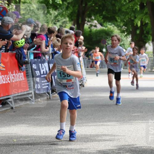 17.05.2025 - Störlauf Strokosch-Dieckow http://msf.ph/oto/7846585 17.05.2025 13:40:22 Ziel 40, 158, 89 meine-sportfotos.de