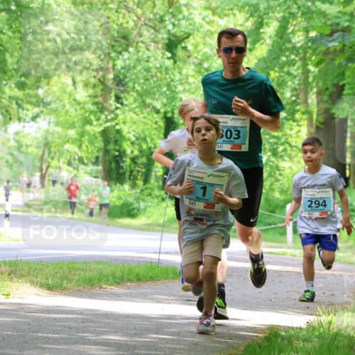 17.05.2025 - Störlauf Strokosch-Dieckow http://msf.ph/oto/7846590 17.05.2025 13:39:04 Laufen 2019, 2025, 303, 2025, 294, 140 meine-sportfotos.de