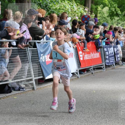 17.05.2025 - Störlauf Strokosch-Dieckow http://msf.ph/oto/7846602 17.05.2025 13:40:28 Ziel 294 meine-sportfotos.de