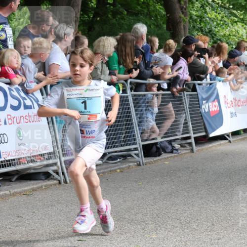 17.05.2025 - Störlauf Strokosch-Dieckow http://msf.ph/oto/7846606 17.05.2025 13:40:29 Ziel 115, 0000, 2025, 1 meine-sportfotos.de