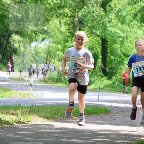 17.05.2025 - Störlauf Strokosch-Dieckow http://msf.ph/oto/7846617 17.05.2025 13:39:13 Laufen 6, 2025, 141 meine-sportfotos.de