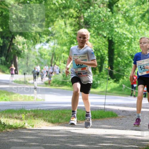 17.05.2025 - Störlauf Strokosch-Dieckow http://msf.ph/oto/7846621 17.05.2025 13:39:13 Laufen 14 meine-sportfotos.de