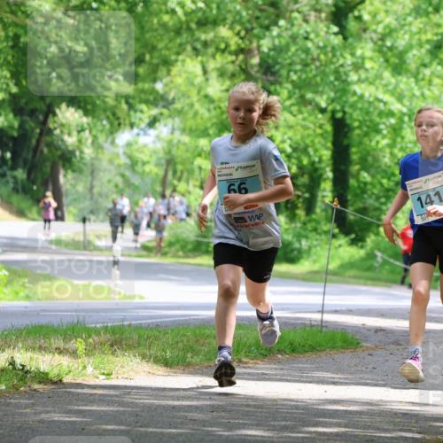 17.05.2025 - Störlauf Strokosch-Dieckow http://msf.ph/oto/7846625 17.05.2025 13:39:13 Laufen 2025, 66, 141 meine-sportfotos.de