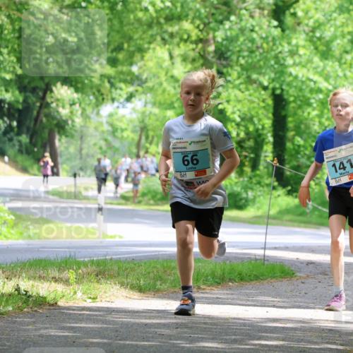 17.05.2025 - Störlauf Strokosch-Dieckow http://msf.ph/oto/7846629 17.05.2025 13:39:13 Laufen 66, 20, 141 meine-sportfotos.de