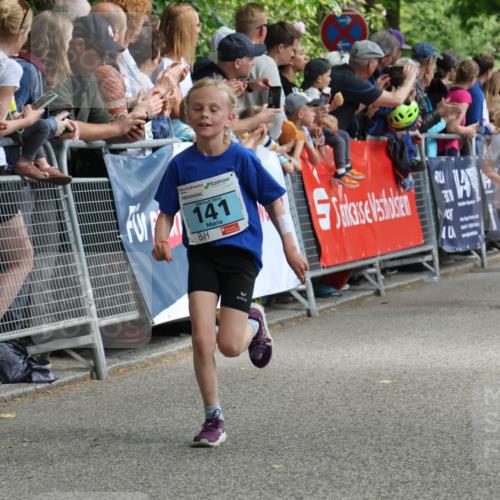 17.05.2025 - Störlauf Strokosch-Dieckow http://msf.ph/oto/7846630 17.05.2025 13:40:42 Ziel 2025, 141, 40, 66, 348 meine-sportfotos.de