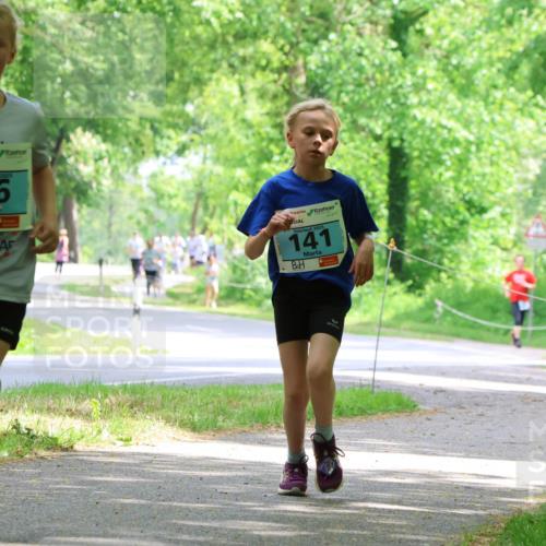 17.05.2025 - Störlauf Strokosch-Dieckow http://msf.ph/oto/7846636 17.05.2025 13:39:15 Laufen 2025, 56, 2025, 141, 348 meine-sportfotos.de