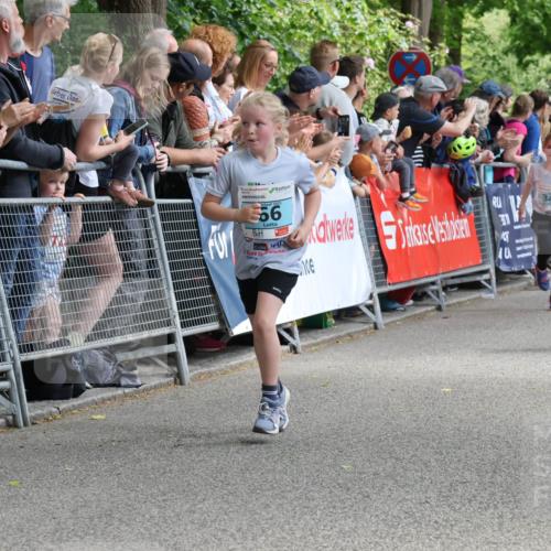 17.05.2025 - Störlauf Strokosch-Dieckow http://msf.ph/oto/7846637 17.05.2025 13:40:45 Ziel 566, 348 meine-sportfotos.de