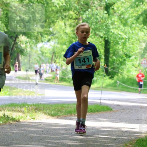 17.05.2025 - Störlauf Strokosch-Dieckow http://msf.ph/oto/7846640 17.05.2025 13:39:15 Laufen 2025, 66, 2025, 141, 348 meine-sportfotos.de