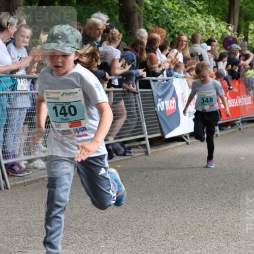 17.05.2025 - Störlauf Strokosch-Dieckow http://msf.ph/oto/7846644 17.05.2025 13:40:48 Ziel 119, 2025, 140, 348 meine-sportfotos.de