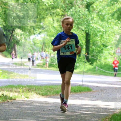 17.05.2025 - Störlauf Strokosch-Dieckow http://msf.ph/oto/7846645 17.05.2025 13:39:15 Laufen 2025, 66, 2025, 141, 348 meine-sportfotos.de
