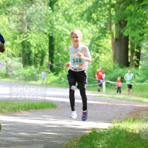 17.05.2025 - Störlauf Strokosch-Dieckow http://msf.ph/oto/7846649 17.05.2025 13:39:17 Laufen 2025, 141, 348, 260 meine-sportfotos.de