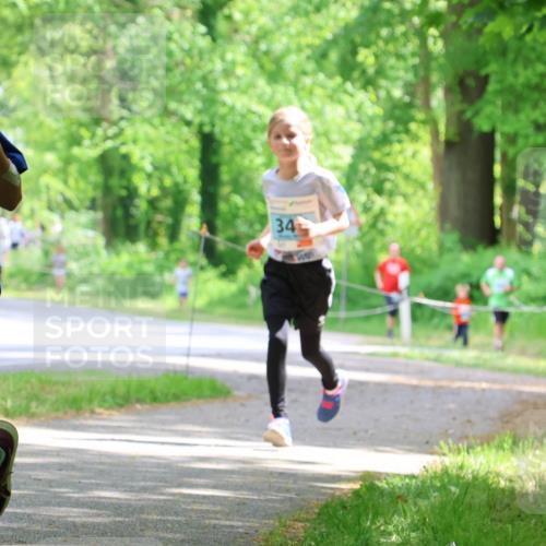 17.05.2025 - Störlauf Strokosch-Dieckow http://msf.ph/oto/7846652 17.05.2025 13:39:17 Laufen 2025, 141, 34 meine-sportfotos.de