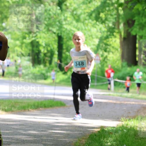 17.05.2025 - Störlauf Strokosch-Dieckow http://msf.ph/oto/7846656 17.05.2025 13:39:17 Laufen 2025, 141, 348 meine-sportfotos.de