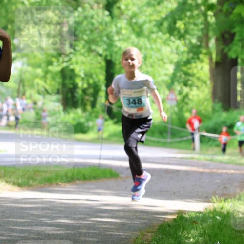 17.05.2025 - Störlauf Strokosch-Dieckow http://msf.ph/oto/7846663 17.05.2025 13:39:17 Laufen 2025, 141, 348 meine-sportfotos.de