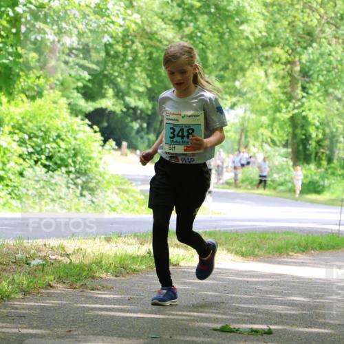 17.05.2025 - Störlauf Strokosch-Dieckow http://msf.ph/oto/7846667 17.05.2025 13:39:19 Laufen 2025, 348 meine-sportfotos.de