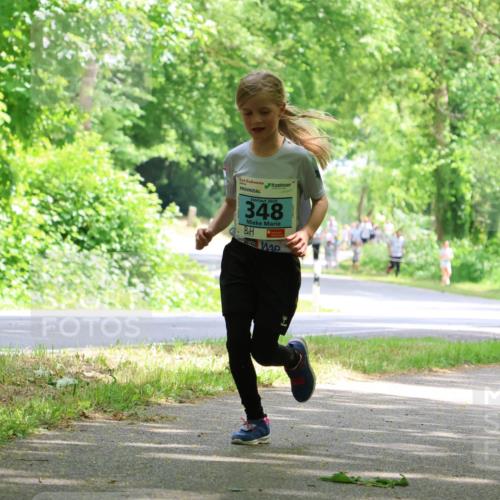 17.05.2025 - Störlauf Strokosch-Dieckow http://msf.ph/oto/7846671 17.05.2025 13:39:19 Laufen 2025, 348 meine-sportfotos.de