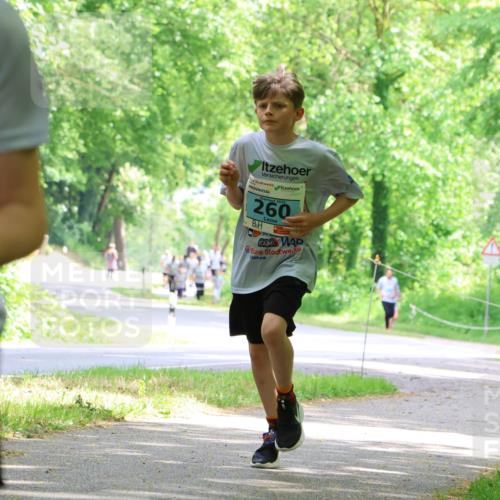 17.05.2025 - Störlauf Strokosch-Dieckow http://msf.ph/oto/7846693 17.05.2025 13:39:24 Laufen 2025, 260 meine-sportfotos.de