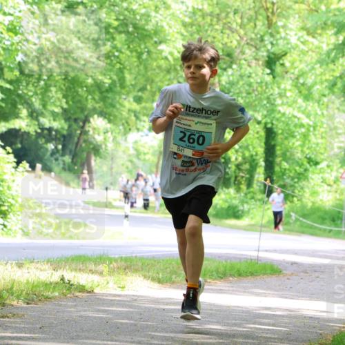 17.05.2025 - Störlauf Strokosch-Dieckow http://msf.ph/oto/7846697 17.05.2025 13:39:24 Laufen 2025, 260 meine-sportfotos.de