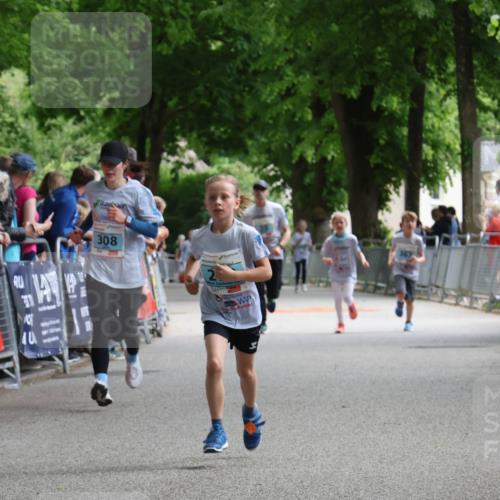 17.05.2025 - Störlauf Strokosch-Dieckow http://msf.ph/oto/7846704 17.05.2025 13:41:32 Ziel 40, 308 meine-sportfotos.de