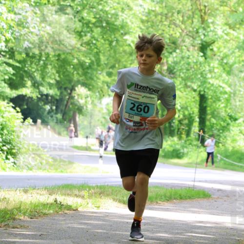 17.05.2025 - Störlauf Strokosch-Dieckow http://msf.ph/oto/7846705 17.05.2025 13:39:24 Laufen 260 meine-sportfotos.de