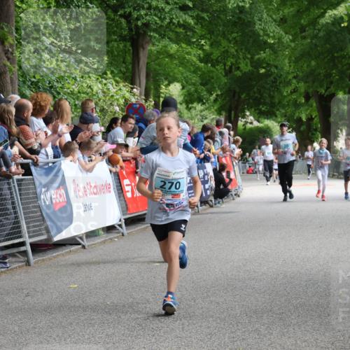 17.05.2025 - Störlauf Strokosch-Dieckow http://msf.ph/oto/7846708 17.05.2025 13:41:33 Ziel 270 meine-sportfotos.de