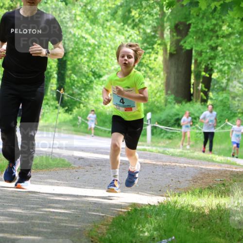 17.05.2025 - Störlauf Strokosch-Dieckow http://msf.ph/oto/7846721 17.05.2025 13:39:30 Laufen  meine-sportfotos.de