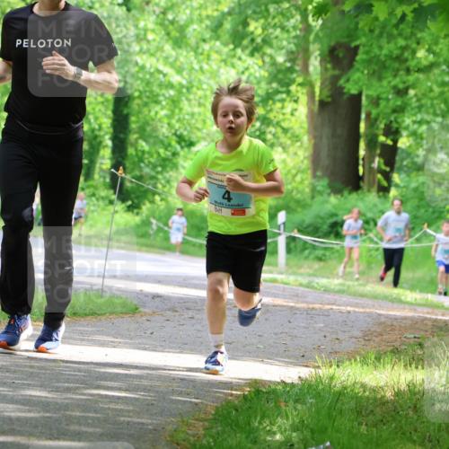 17.05.2025 - Störlauf Strokosch-Dieckow http://msf.ph/oto/7846724 17.05.2025 13:39:31 Laufen 4 meine-sportfotos.de