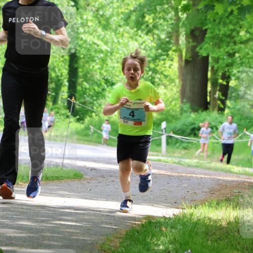 17.05.2025 - Störlauf Strokosch-Dieckow http://msf.ph/oto/7846728 17.05.2025 13:39:31 Laufen  meine-sportfotos.de
