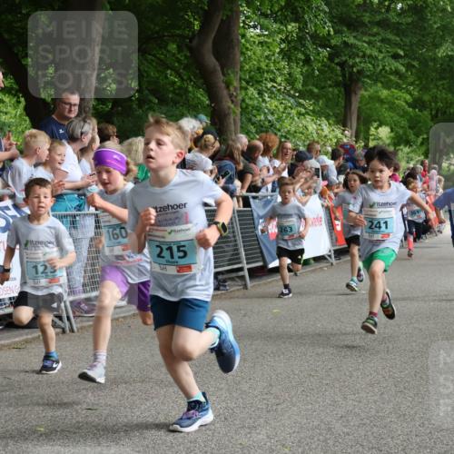 17.05.2025 - Störlauf Strokosch-Dieckow http://msf.ph/oto/7846774 17.05.2025 13:42:04 Ziel 0000, 123, 160, 215, 263, 133, 241, 360 meine-sportfotos.de
