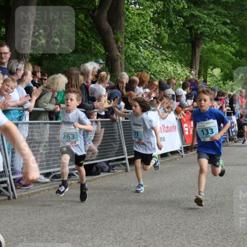 17.05.2025 - Störlauf Strokosch-Dieckow http://msf.ph/oto/7846777 17.05.2025 13:42:05 Ziel 1, 263, 133, 360, 292 meine-sportfotos.de