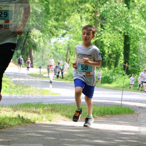 17.05.2025 - Störlauf Strokosch-Dieckow http://msf.ph/oto/7846783 17.05.2025 13:39:46 Laufen 2025, 29, 5, 2025, 50 meine-sportfotos.de