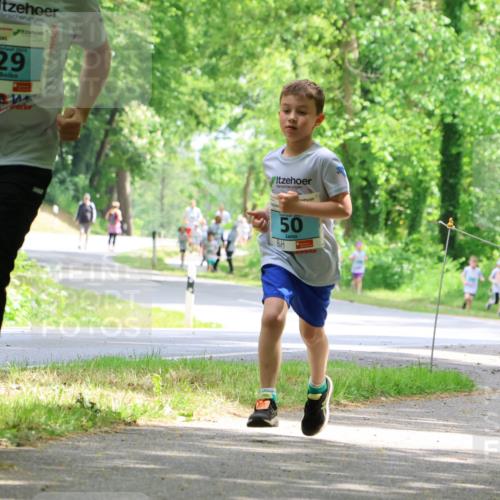 17.05.2025 - Störlauf Strokosch-Dieckow http://msf.ph/oto/7846787 17.05.2025 13:39:46 Laufen 2025, 29, 50 meine-sportfotos.de