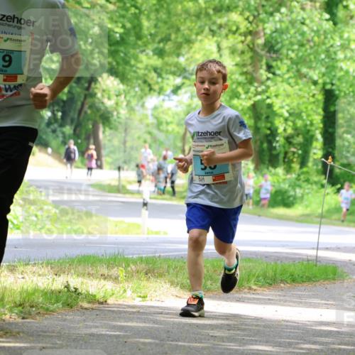17.05.2025 - Störlauf Strokosch-Dieckow http://msf.ph/oto/7846791 17.05.2025 13:39:46 Laufen 2025, 29 meine-sportfotos.de