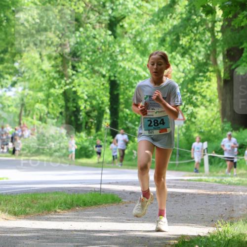 17.05.2025 - Störlauf Strokosch-Dieckow http://msf.ph/oto/7846807 17.05.2025 13:39:52 Laufen 2025, 284, 40 meine-sportfotos.de