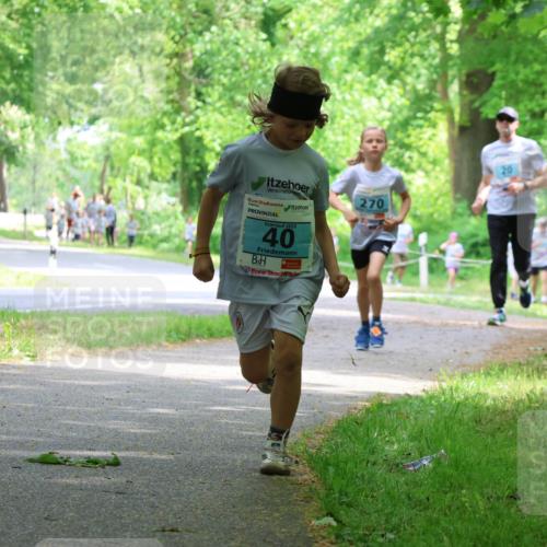 17.05.2025 - Störlauf Strokosch-Dieckow http://msf.ph/oto/7846822 17.05.2025 13:39:57 Laufen 2025, 40, 270, 20 meine-sportfotos.de