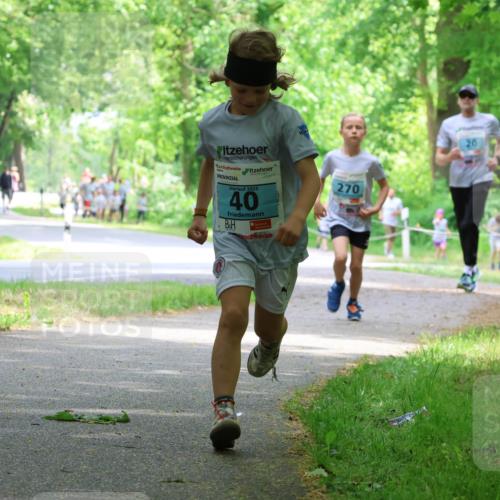 17.05.2025 - Störlauf Strokosch-Dieckow http://msf.ph/oto/7846838 17.05.2025 13:39:57 Laufen 2025, 40, 270 meine-sportfotos.de
