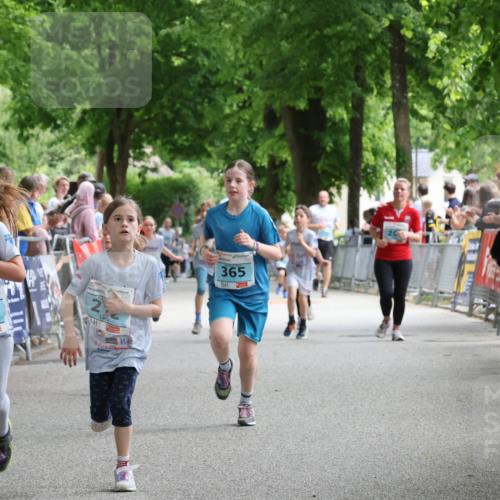 17.05.2025 - Störlauf Strokosch-Dieckow http://msf.ph/oto/7846851 17.05.2025 13:42:46 Ziel 1, 237, 2, 365 meine-sportfotos.de