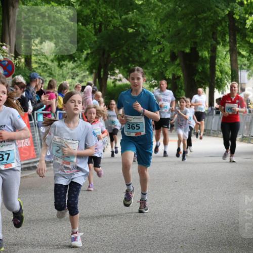 17.05.2025 - Störlauf Strokosch-Dieckow http://msf.ph/oto/7846853 17.05.2025 13:42:47 Ziel 54, 237, 2, 90, 365, 20 meine-sportfotos.de