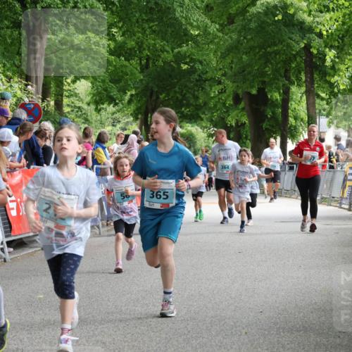 17.05.2025 - Störlauf Strokosch-Dieckow http://msf.ph/oto/7846854 17.05.2025 13:42:47 Ziel 56, 365, 237, 252, 364 meine-sportfotos.de